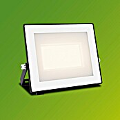 Philips Aplique exterior LED Lois (15 W, Negro, IP65) | BAUHAUS
