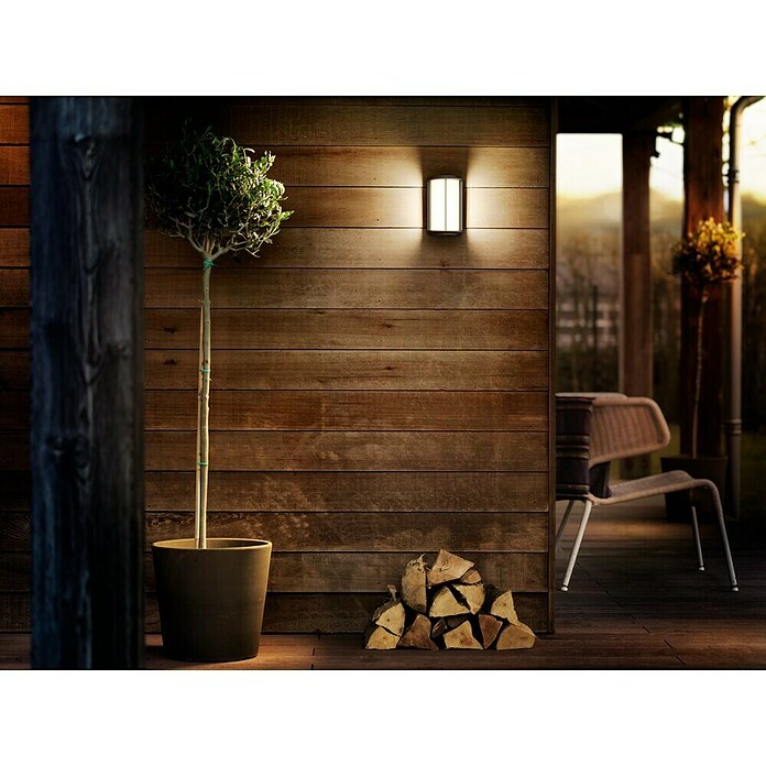 Philips Aplique exterior LED Reese (4,3 W, 14 x 12 x 24 cm, Antracita, IP44) | BAUHAUS