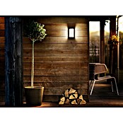 Philips Aplique exterior LED Reese (4,3 W, 14 x 12 x 24 cm, Antracita, IP44) | BAUHAUS