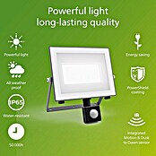 Philips Aplique exterior LED Lois (24 W, 20 x 6 x 21 cm, Antracita, IP65) | BAUHAUS
