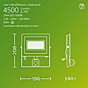 Philips Aplique exterior LED Lois (24 W, 20 x 6 x 21 cm, Antracita, IP65) | BAUHAUS