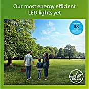 Philips Aplique exterior LED Lois (24 W, 20 x 6 x 21 cm, Antracita, IP65) | BAUHAUS