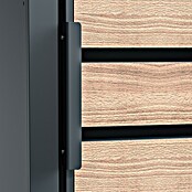 Westmann Mülltonnenbox Lacina (Stahl, Anthrazit/Braun, Geeignet für Anzahl Mülltonnen: 4 Stk.) | BAUHAUS