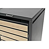 Westmann Mülltonnenbox Lacina (Stahl, Anthrazit/Braun, Geeignet für Anzahl Mülltonnen: 2 Stk.) | BAUHAUS
