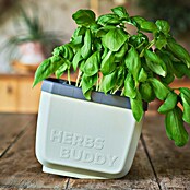 Gusta Garden Kräutertopf Herbs Buddy (16 x 14,3 x 13,6 cm, Kunststoff, Weiß, 1 Stk.) | BAUHAUS