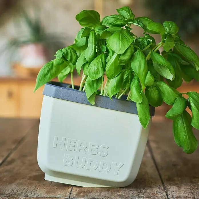 Gusta Garden Kräutertopf Herbs Buddy - Kunststoff, Weiß, 1 Stk. - Kräutertopf "Herbs Buddy" mit üppigem Basilikum auf einem Holztisch, ideal für frische Kräuter in der Küche.