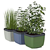 Gusta Garden Kräutertopf Herbs Buddy (16 x 14,3 x 13,6 cm, Kunststoff, Weiß, 1 Stk.) | BAUHAUS