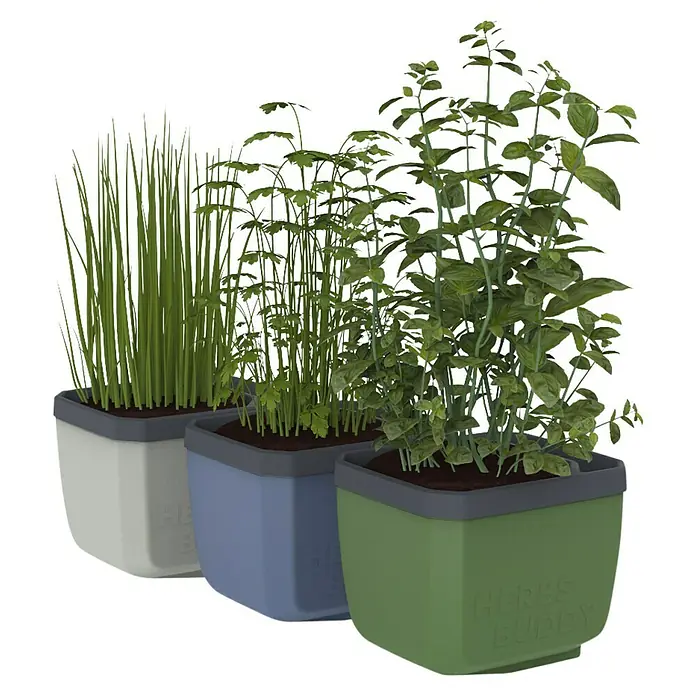 Gusta Garden Kräutertopf Herbs Buddy - Kunststoff, Weiß, 1 Stk. - Kräutergarten-Set mit Schnittlauch, Petersilie und Basilikum in farbigen Töpfen für die Fensterbank.