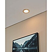 Eglo Fueva 5 LED vgradni žaromet  (5,5 W, Toplo bela, Nikelj mat barve, Ø x V: 11,7 x 2,6 cm) | Vgradni žarometi | Reflektorji in žarometi | Svetila | Elektro in svetila | Izdelki | BAUHAUS