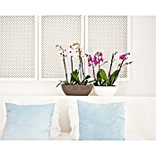 Artevasi Pflanzschale Bahia (L x B x H: 35 x 17 x 13 cm, Weiß, Kunststoff) | BAUHAUS