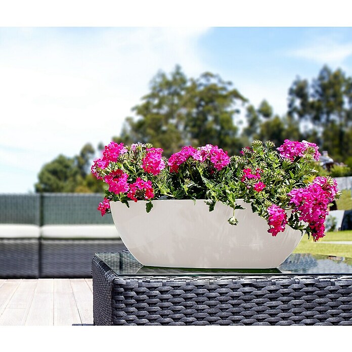 Artevasi Pflanzschale Bahia (L x B x H: 35 x 17 x 13 cm, Weiß, Kunststoff) | BAUHAUS