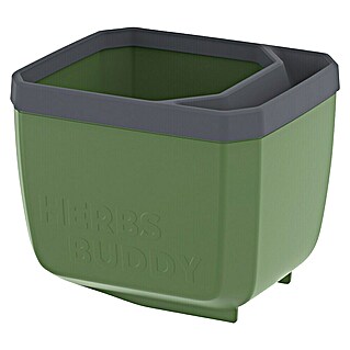 Gusta Garden Kräutertopf Herbs Buddy (16 x 14,3 x 13,6 cm, Kunststoff, Dunkelgrün, 1 Stk.)