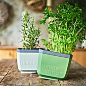Gusta Garden Kräutertopf Herbs Buddy (16 x 14,3 x 13,6 cm, Kunststoff, Blau, 1 Stk.) | BAUHAUS
