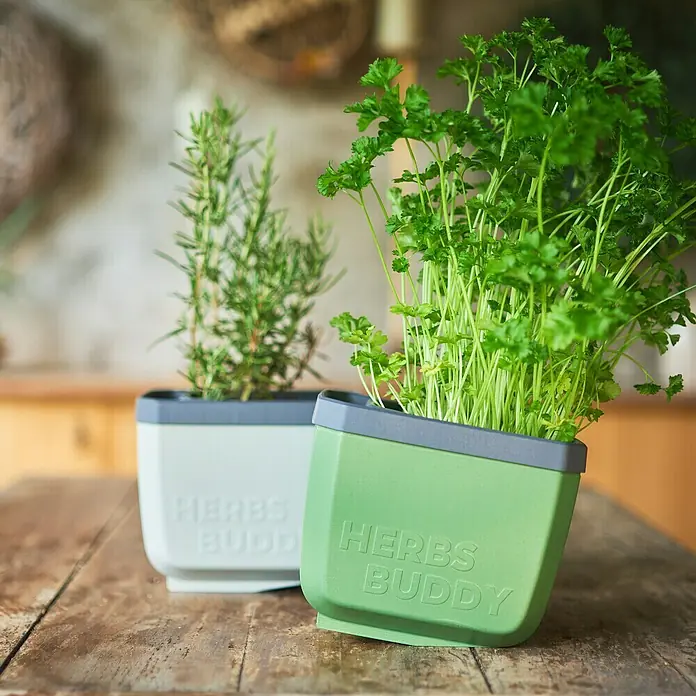 Gusta Garden Kräutertopf Herbs Buddy - Kunststoff, Blau, 1 Stk. - Kräutertöpfe "Herbs Buddy" mit frischen Kräutern auf einem Holztisch. Praktische und stilvolle Lösung für den Anbau von Kräutern in der Küche.