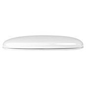 Poseidon WC daska Basic Line  (Plastika, Bez automatike upuštanja) | BAUHAUS