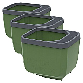 Gusta Garden Kräutertopf Herbs Buddy (16 x 14,3 x 13,6 cm, Kunststoff, Dunkelgrün, 3 Stk.)