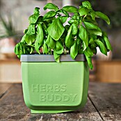 Gusta Garden Kräutertopf Herbs Buddy (16 x 14,3 x 13,6 cm, Kunststoff, Dunkelgrün, 1 Stk.) | BAUHAUS