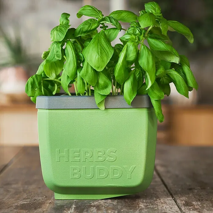 Gusta Garden Kräutertopf Herbs Buddy - Kunststoff, Dunkelgrün, 1 Stk. - Ein grüner Kräutertopf "Herbs Buddy" mit Basilikumpflanze darauf, stehend auf einem Holztisch.