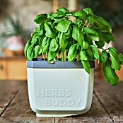 Gusta Garden Kräutertopf Herbs Buddy (16 x 14,3 x 13,6 cm, Kunststoff, Hellgrau, 1 Stk.) | BAUHAUS