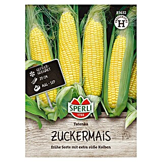 Sperli Groentezaden Zoete Maïs (Zea mays)