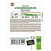 Sperli Bloemzaden (Bellis perennis, Verschillende kleuren) | BAUHAUS