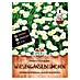 Sperli Bloemzaden 