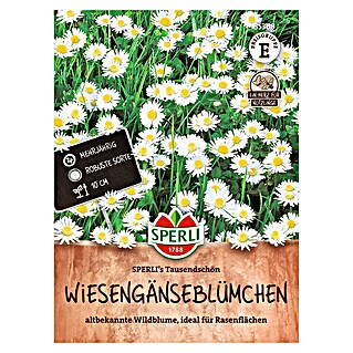 Sperli Bloemzaden (Bellis perennis, Verschillende kleuren)