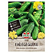 Sperli Groentezaden (Cucumis sativus) | BAUHAUS