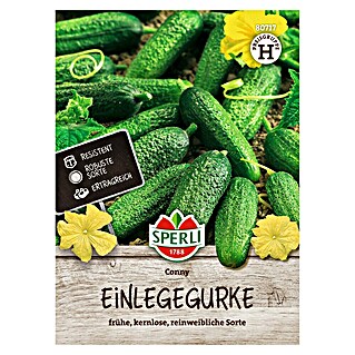 Sperli Groentezaden Conny (Cucumis sativus)