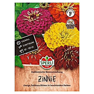 Sperli Bloemzaden Zinnie California Giant (Zinnia elegans, Verschillende kleuren)