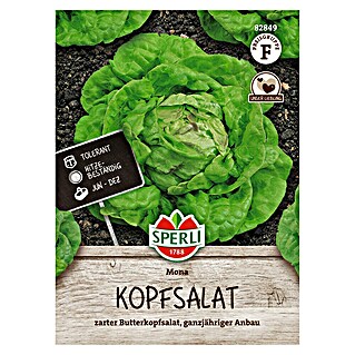 Sperli Groentezaden Mona (Lactuca sativa)