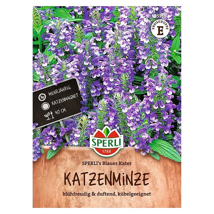 Sperli Bloemzaden (Nepeta x faassenii, Paars) | BAUHAUS