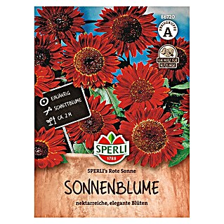 Sperli Bloemzaden (Helianthus annuus, Oranje)