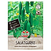 Sperli Groentezaden Lothar (Cucumis sativus) | BAUHAUS