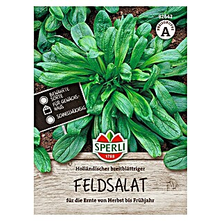 Sperli Groentezaden Hollandse Breedblad (Valerianella locusta)