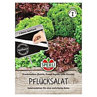 Sperli Groentezaden Pluksla (Lactuca sativa)