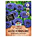 Sperli Bloemzaden Wilde Korenbloem 