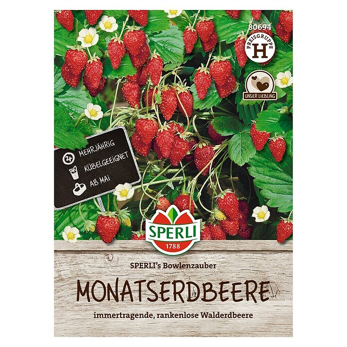 Sperli Groentezaden Bowlmagie (Fragaria ananassa) | BAUHAUS