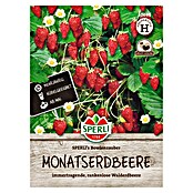 Sperli Groentezaden Bowlmagie (Fragaria ananassa) | BAUHAUS