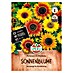 Sperli Bloemzaden Kleurrijke mix 