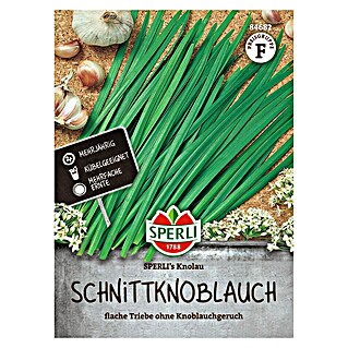 Sperli Kruidenzaad (Allium tuberosum)