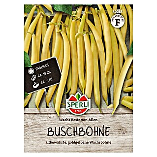 Sperli Groentezaden Wachs beste von allen (Phaseolus vulgaris)