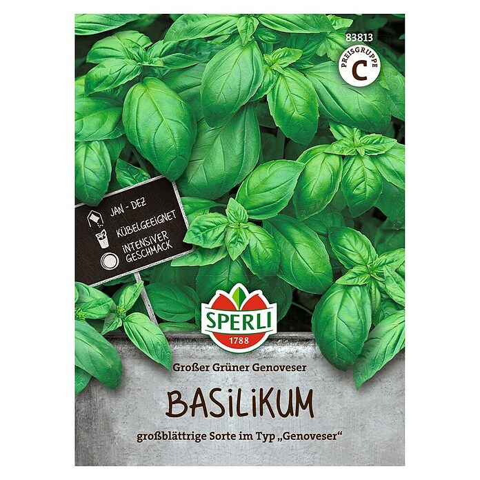 Sperli Kruidenzaad Groene Genoveser (Ocimum basilicum) | BAUHAUS
