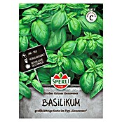 Sperli Kruidenzaad Groene Genoveser (Ocimum basilicum) | BAUHAUS