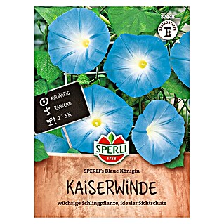 Sperli Bloemzaden (Ipomoea tricolor, Blauw)