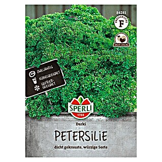 Sperli Kruidenzaad Darki (Petroselinum crispum)