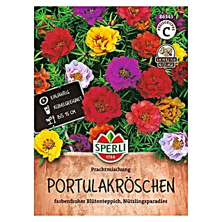 Sperli Bloemzaden (Portulaca grandiflora, Verschillende kleuren)
