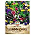 Sperli Bloemzaden Bijen Mix 