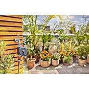 Gardena Programador de riego Easy (Tiempo de riego: 1 min - 120 min, ¾″) | BAUHAUS