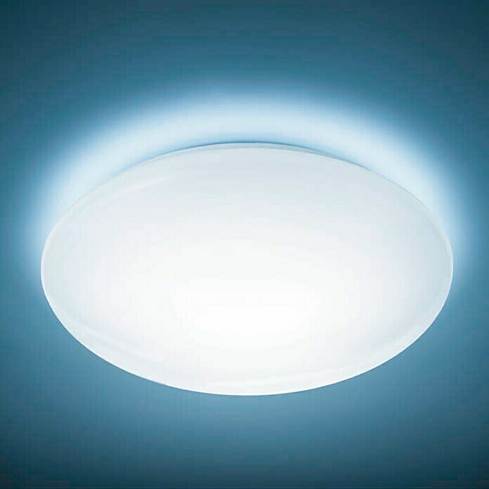 Philips Plafón LED Suede (2,8 W, Diámetro: 28 cm, Blanco frío)